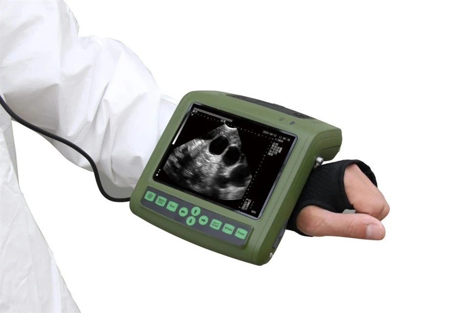 Livestock Ultrasound Machine suppliers